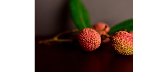 Litchi Plant